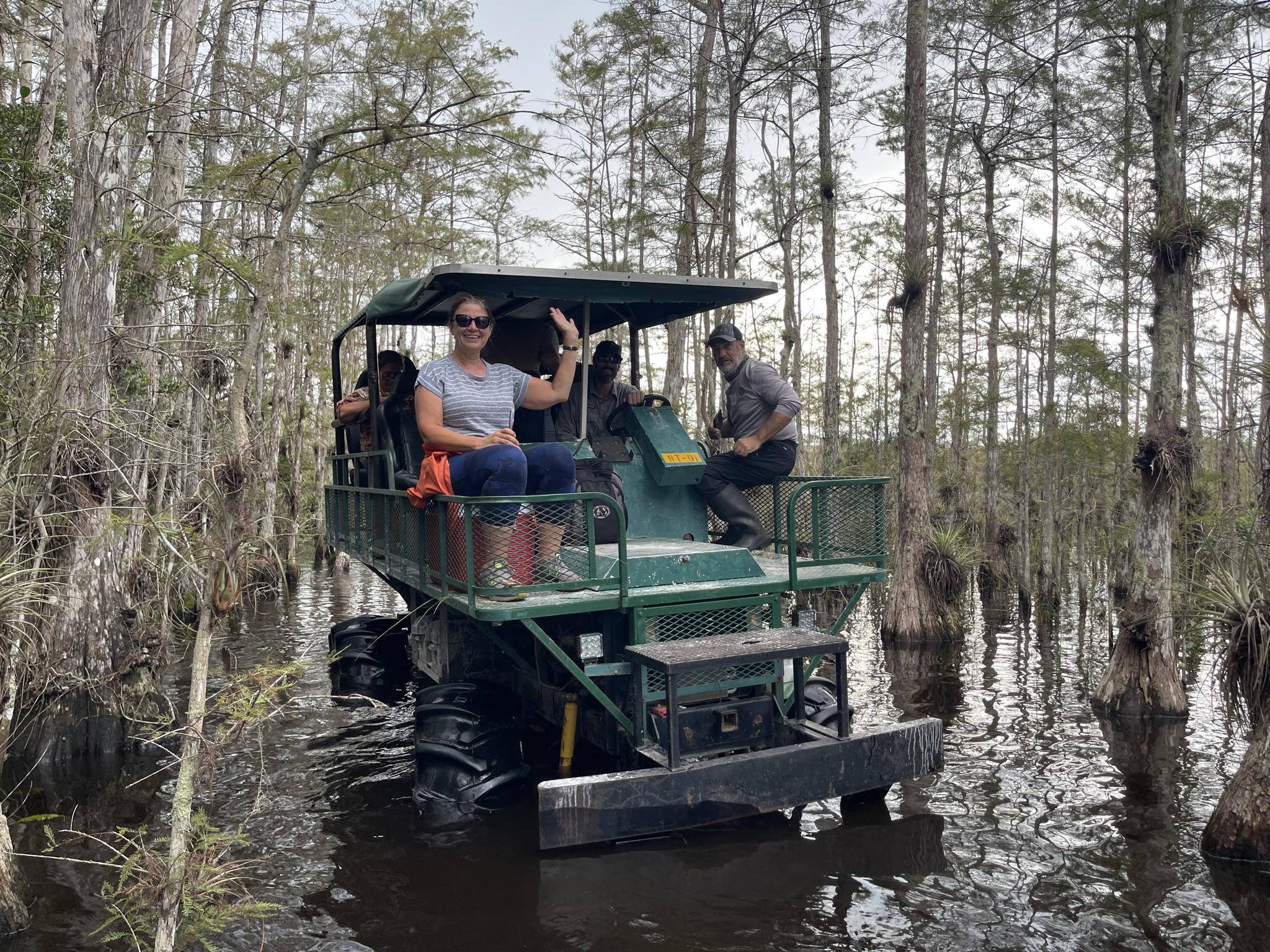 buggy in the slough 590x400