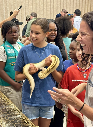 Home catch a python 380x520